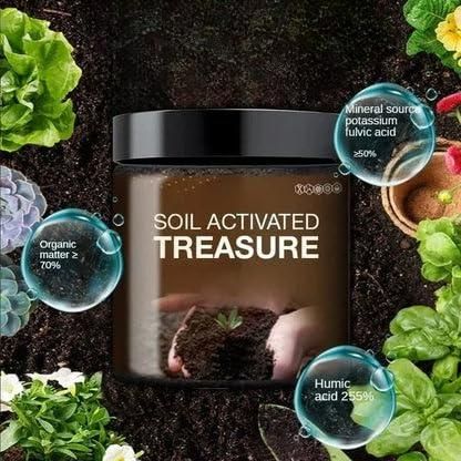 Soil Activated Treasure Premium Soil Activator – 200g (Pack of 2)